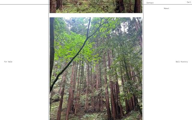 Editorial Mid-Scroll Rhythm on surroundings.site