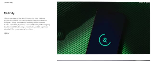 Sellfinity Case Study Hero on johancesar.com