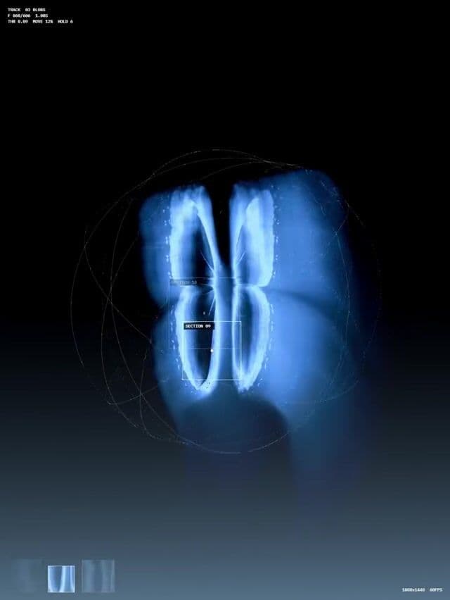 Interactive 3D particle butterfly hero on instagram.com