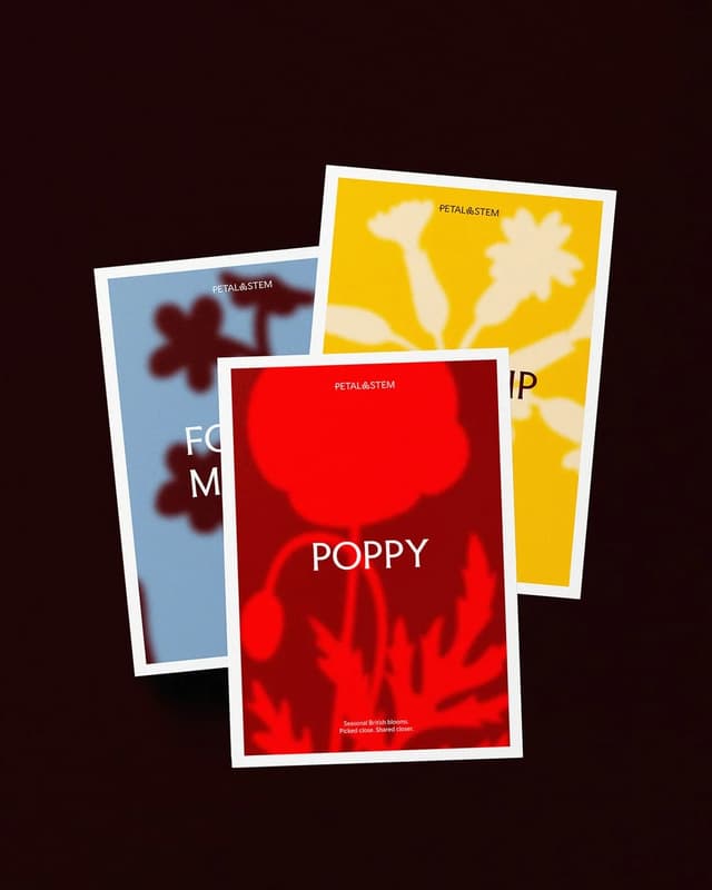 Stacked card gallery with blurred floral silhouettes on instagram.com