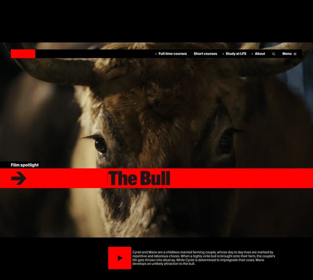 Bold Statement with Red Accent on lfs.org.uk