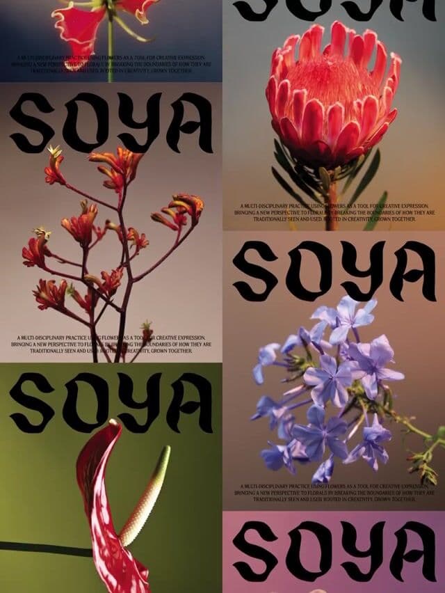 Asynchronous dual-column scroll with high-contrast typography on instagram.com