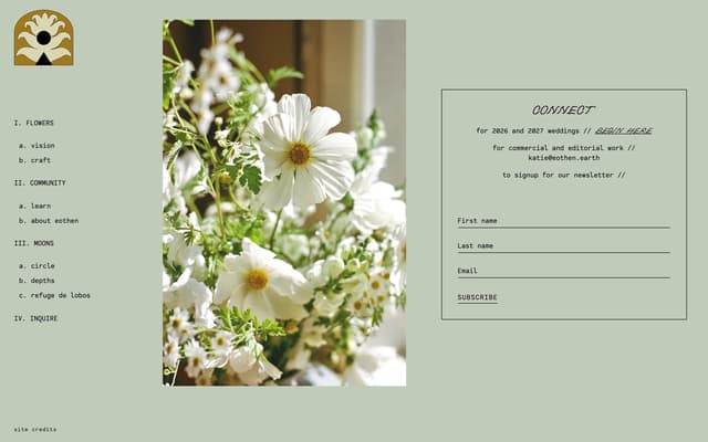 Underlined-Input Contact Form in Wireframe Box on eothen.earth