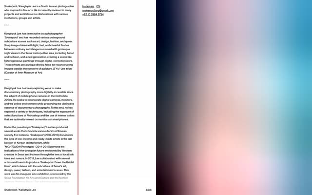 Split-Screen Bio with Gradient on snakepool.org