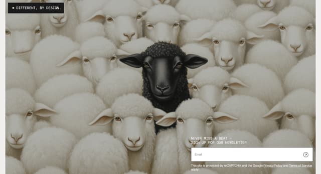 Illustrated Newsletter Signup on withradiance.com