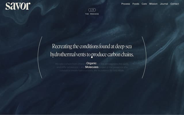 Process Step 1/3 — Bracketed Text on savor.it