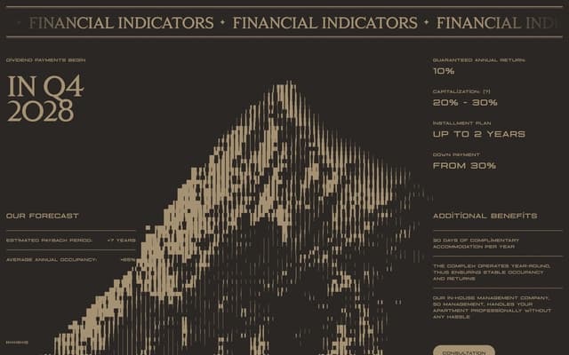 Financial Indicators Section on sondaven.com