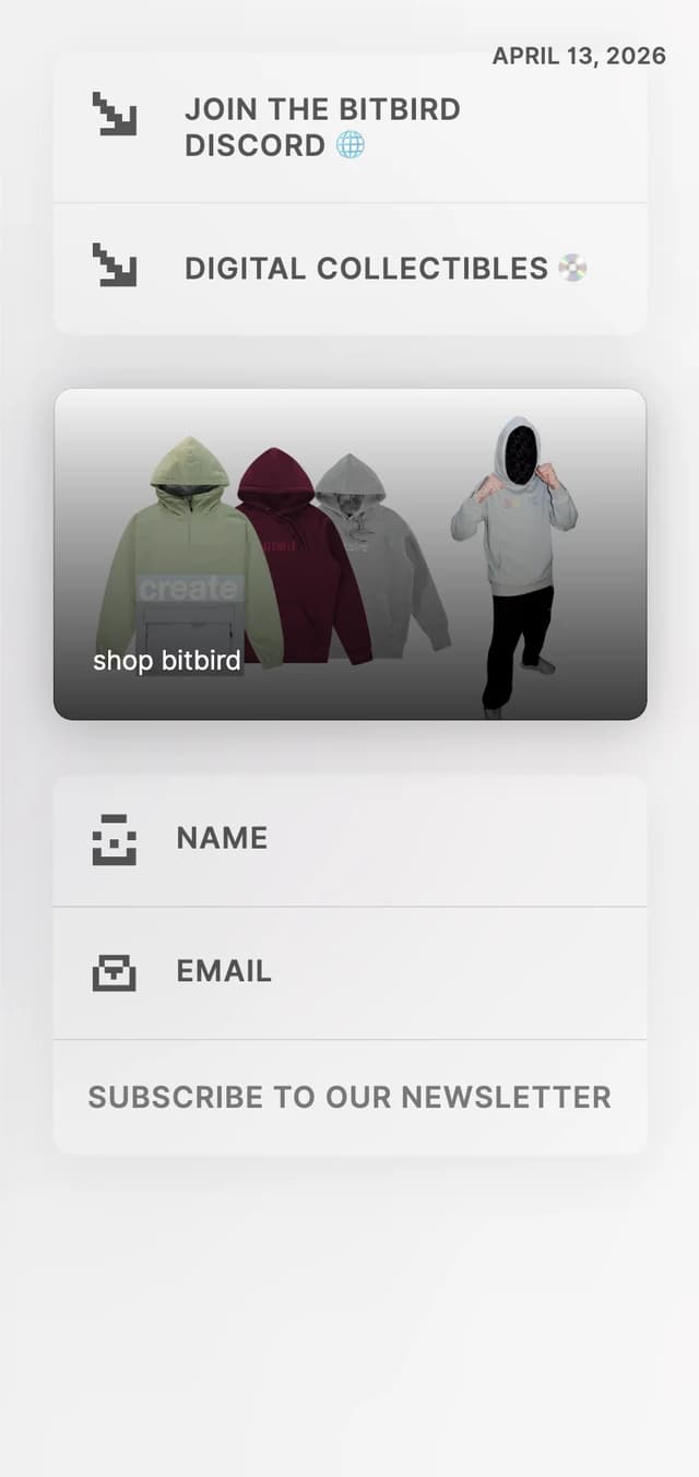 Utility Links & Newsletter Column on bitbirdofficial.com